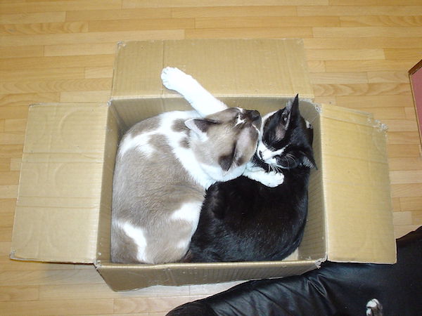 まーたんとちょびたん