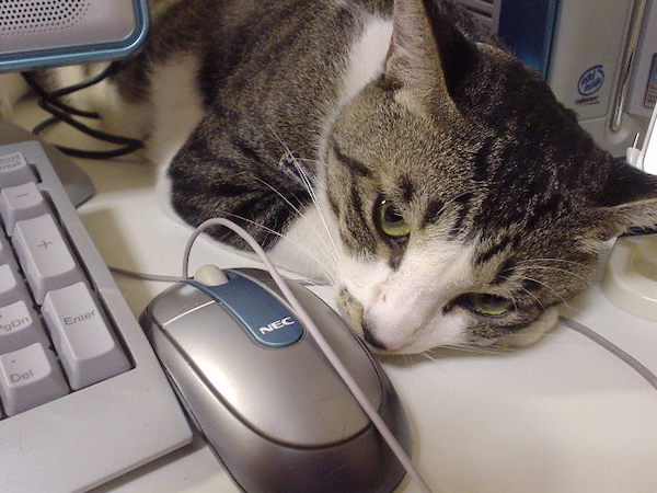 小ちゃんとマウス