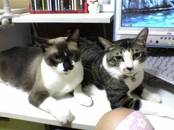 太郎ちゃんと小ちゃん