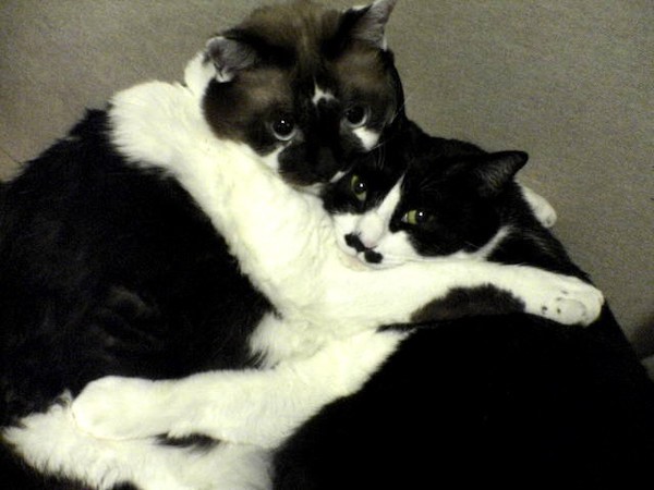 まーたんとちょびたん