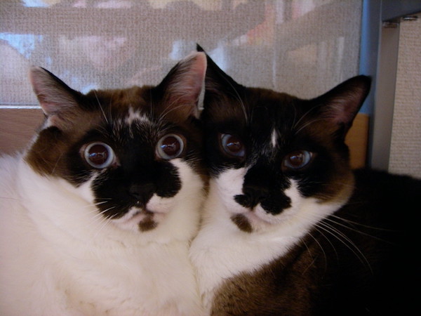 まーたんと太郎ちゃん