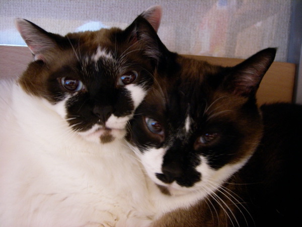 まーたんと太郎ちゃん