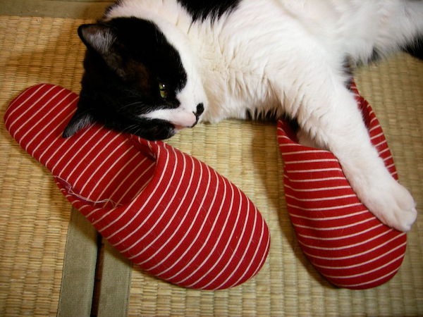 ちょびたんとスリッパ