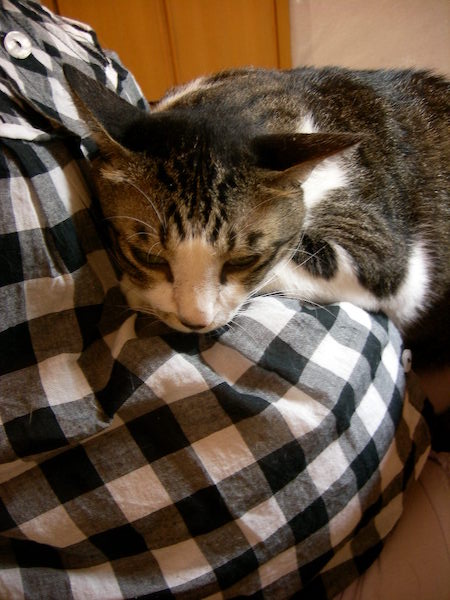 飼い主と小ちゃん