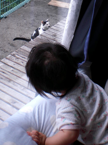 ハナコ母さんを見るちまき先生