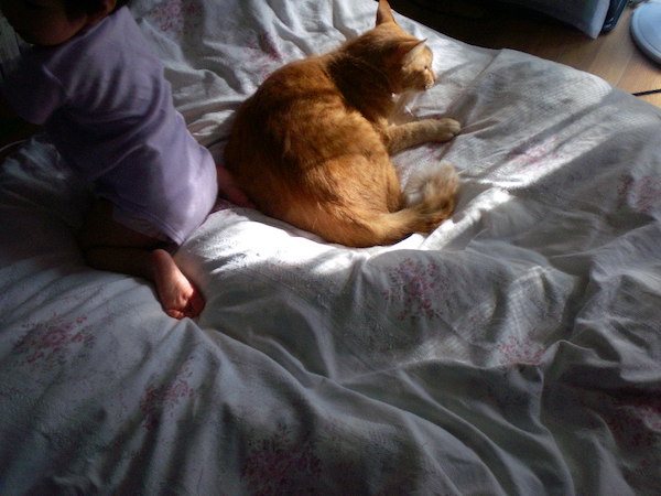 ちまき先生と鯛ちゃん