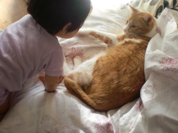 ちまき先生と鯛ちゃん