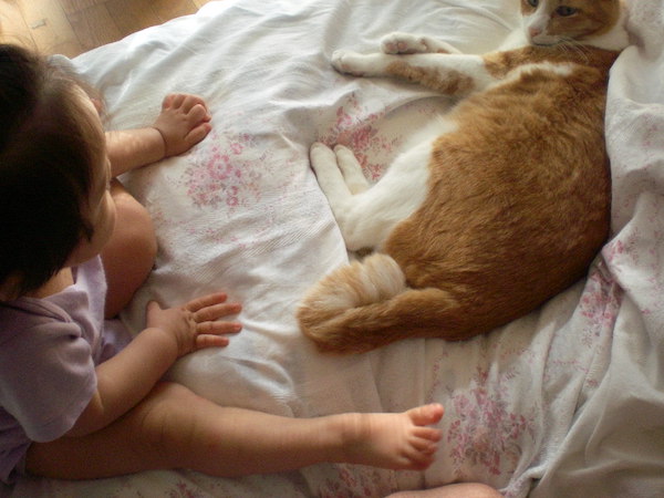 ちまき先生と鯛ちゃん