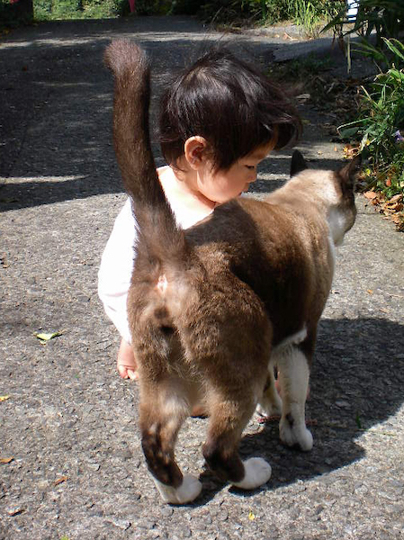 ちまき先生と太郎ちゃん