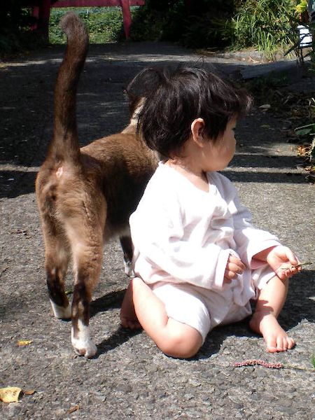 太郎ちゃんとちまき先生