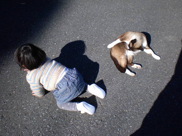ちまき先生と太郎ちゃん