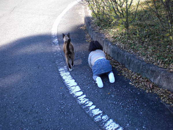 太郎ちゃんとちまき先生