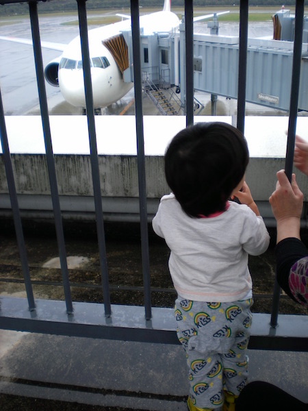 ちまき先生と飛行機