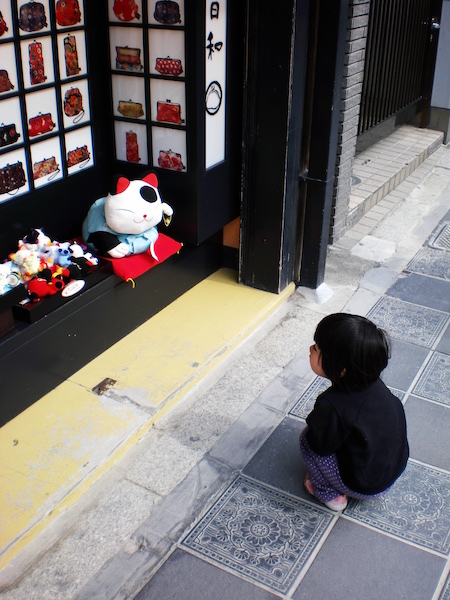 招き猫を見るちまき先生