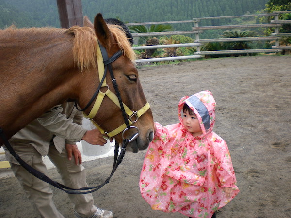 お馬さんとちまき先生
