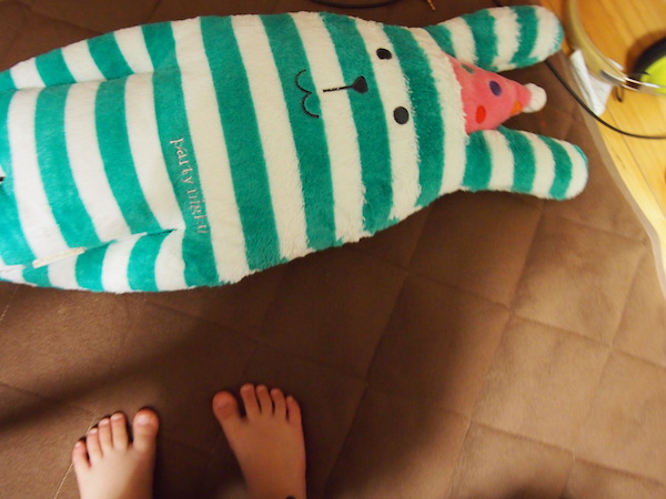 ちまき先生の撮った写真