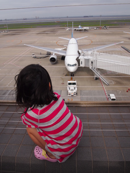 ちまき先生と飛行機
