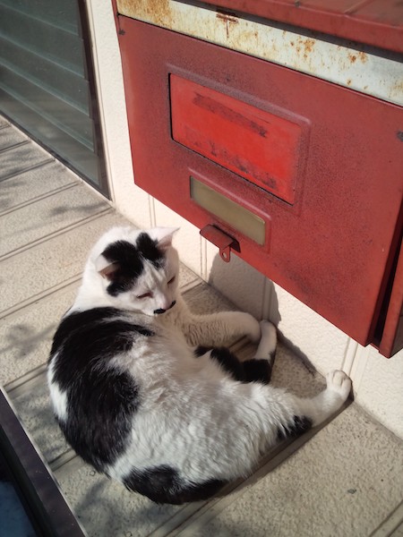 ハナコ母さんとポスト