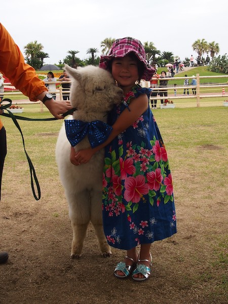 アルパカとちまき先生