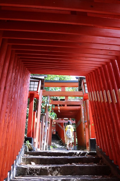 太皷谷稲成神社