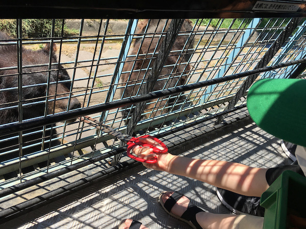 別府サファリパーク