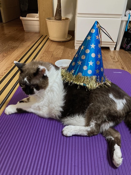 パーティまーたん