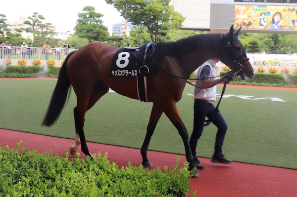 ヘッズオアテールズ