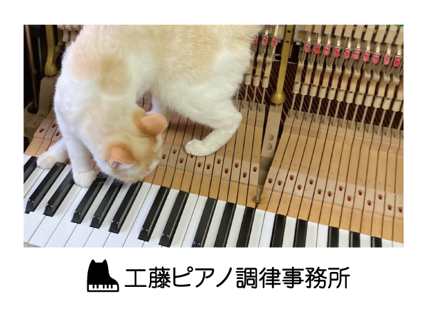 工藤ピアノ調律事務所
